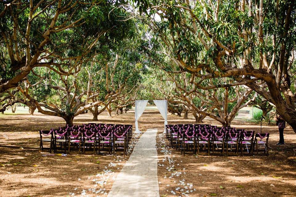 MAui tropical plantation
